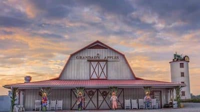 Grandad’s Apples ‘N Such Pumpkin Patch In Hendersonville NC