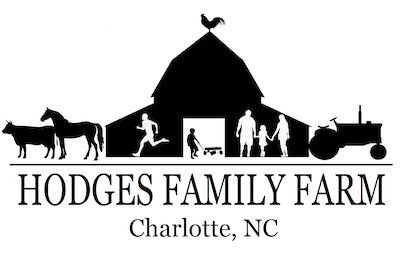 Hodges Family Farm Pumpkin Patch In Charlotte NC