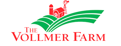 The Vollmer Farm Pumpkin Patch In Bunn NC