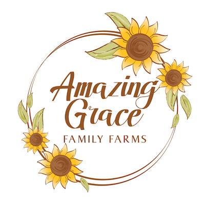 Amazing Grace - Green Cove Springs, FL