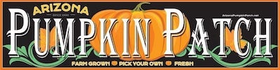 Arizona Pumpkin Patch In Chandler AZ