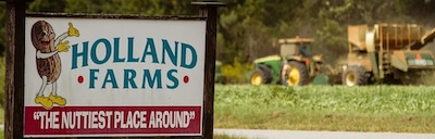 Holland Farms In Milton Florida