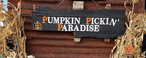 Pumpkin Pickin' Paradise