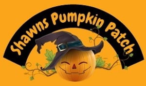 Shawn’s Pumpkin Patch In Los Angeles CA