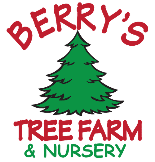 Berry's Tree Farm In Georgia