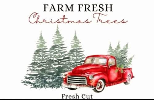 Kittle Christmas Tree Farm In Georgia