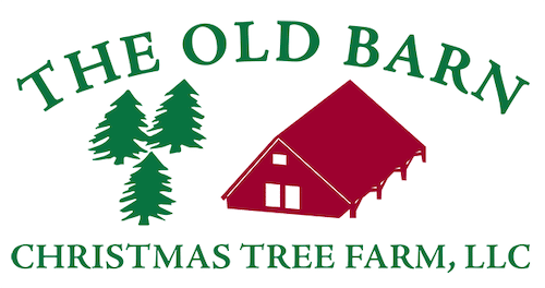 The Old Barn Christmas Tree Farm